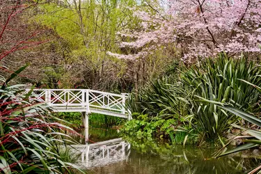 The Wairarapa Garden Experience