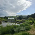 Longbush Cottage Across The Lake
