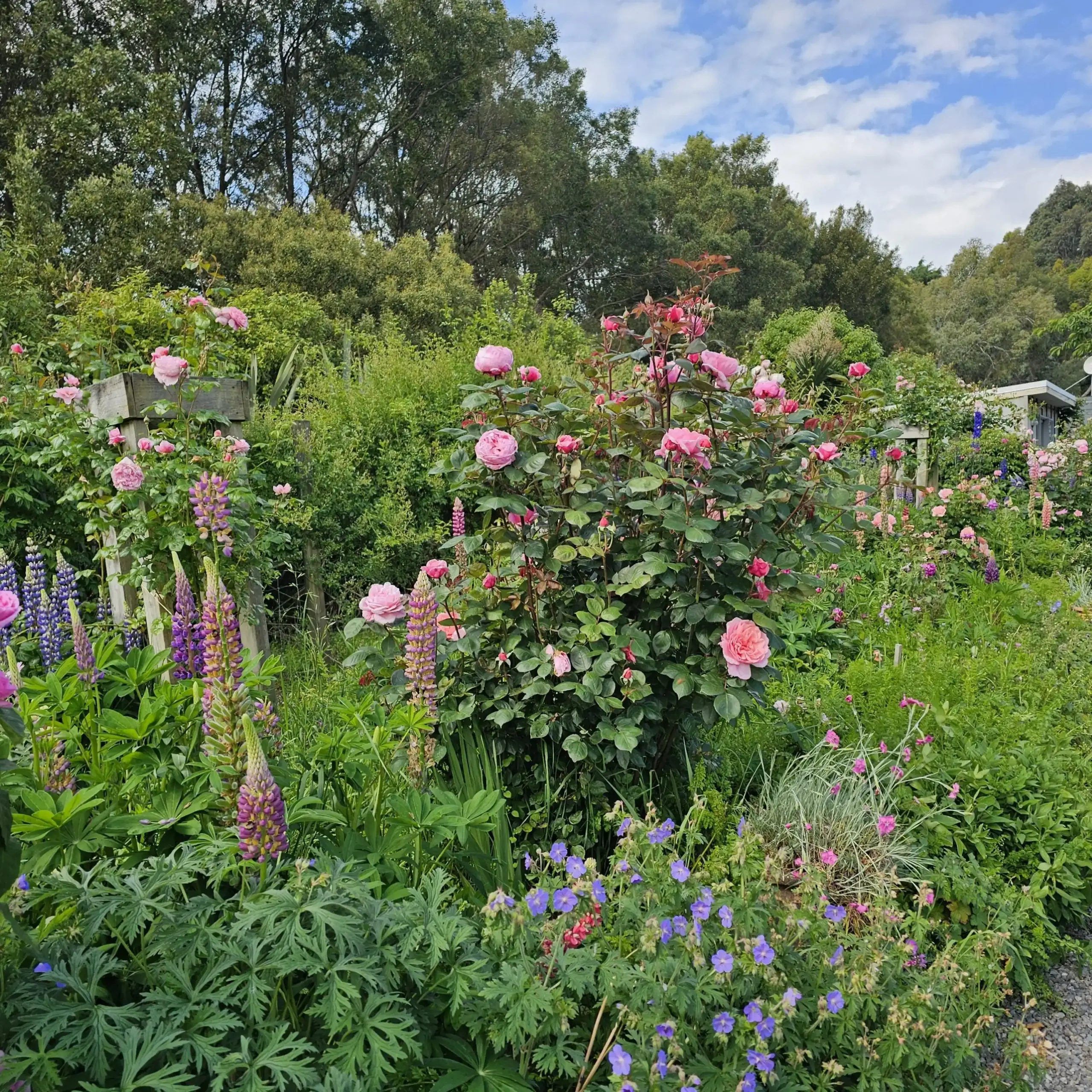 Longbush Cottage Long Cottage Border