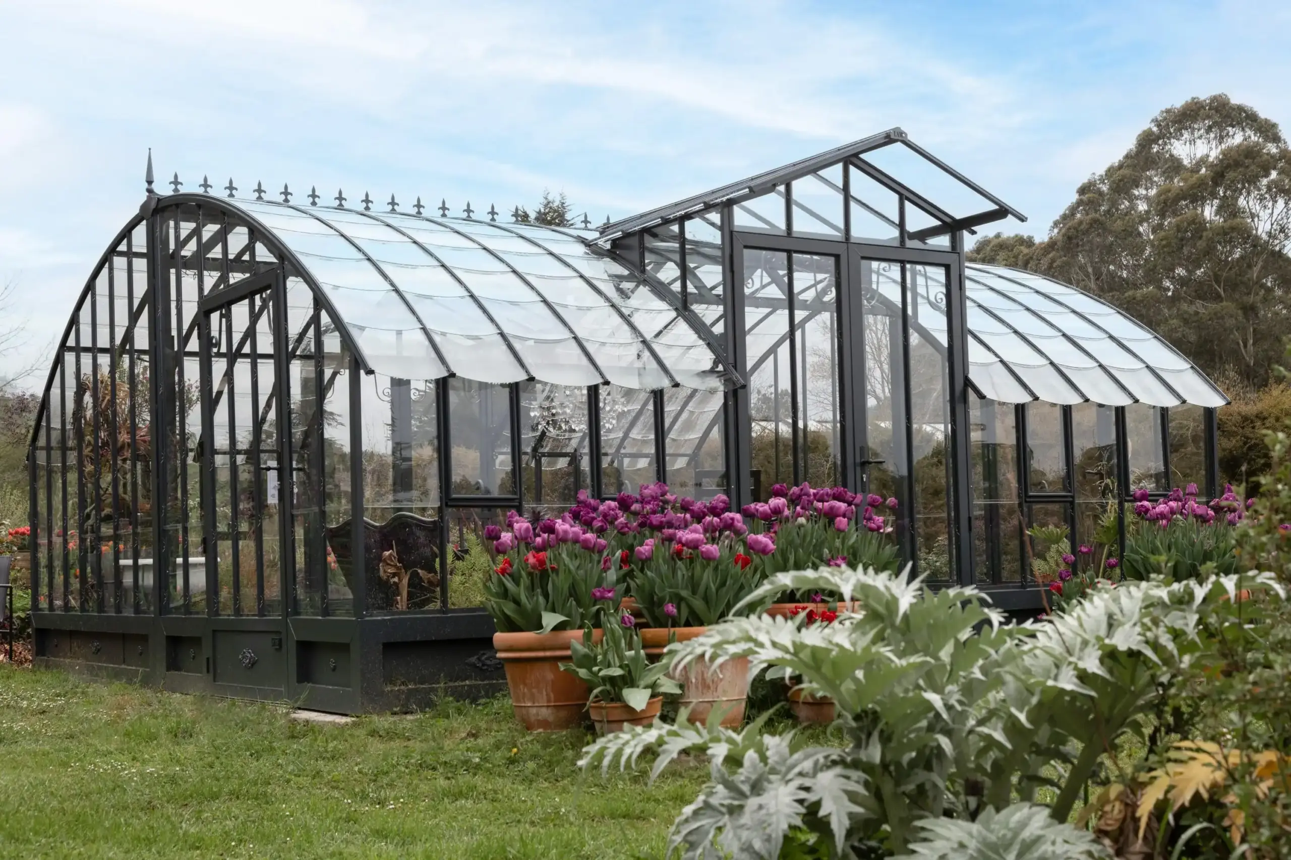 Image of a large French glasshouse amonst Tulips and other plants