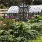 Longbush Cottage The Amboise Glasshouse 2