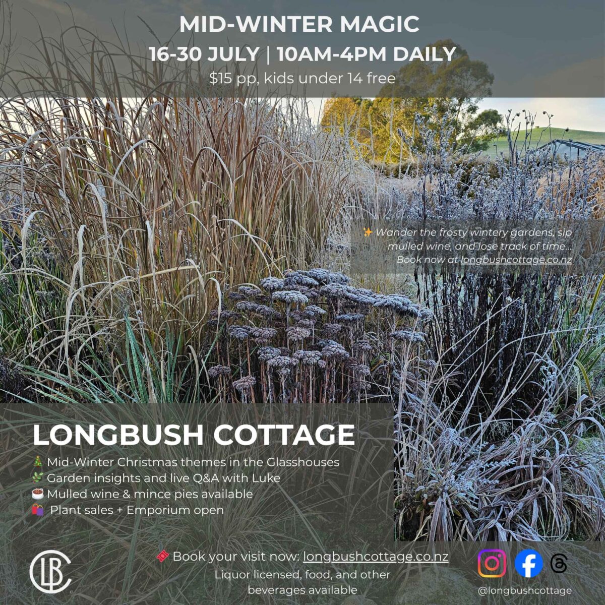 Mid Winter Magic at Longbush Cottage