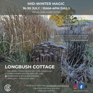 Mid Winter Magic at Longbush Cottage