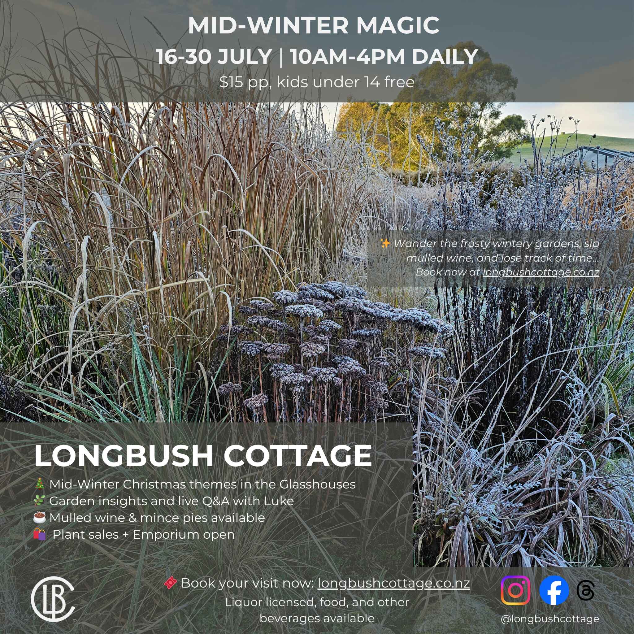 Mid Winter Magic at Longbush Cottage