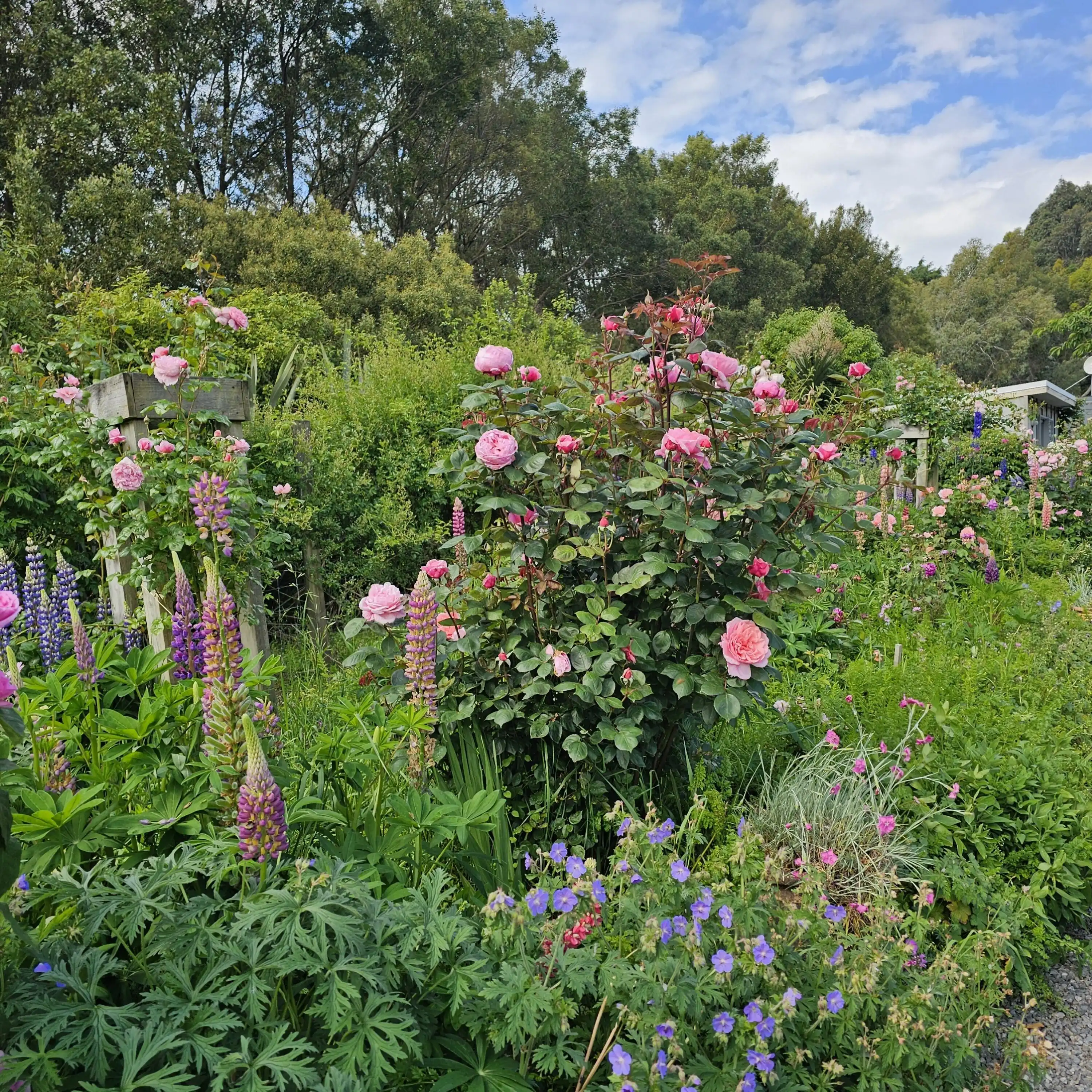 Longbush Cottage Long Cottage Border