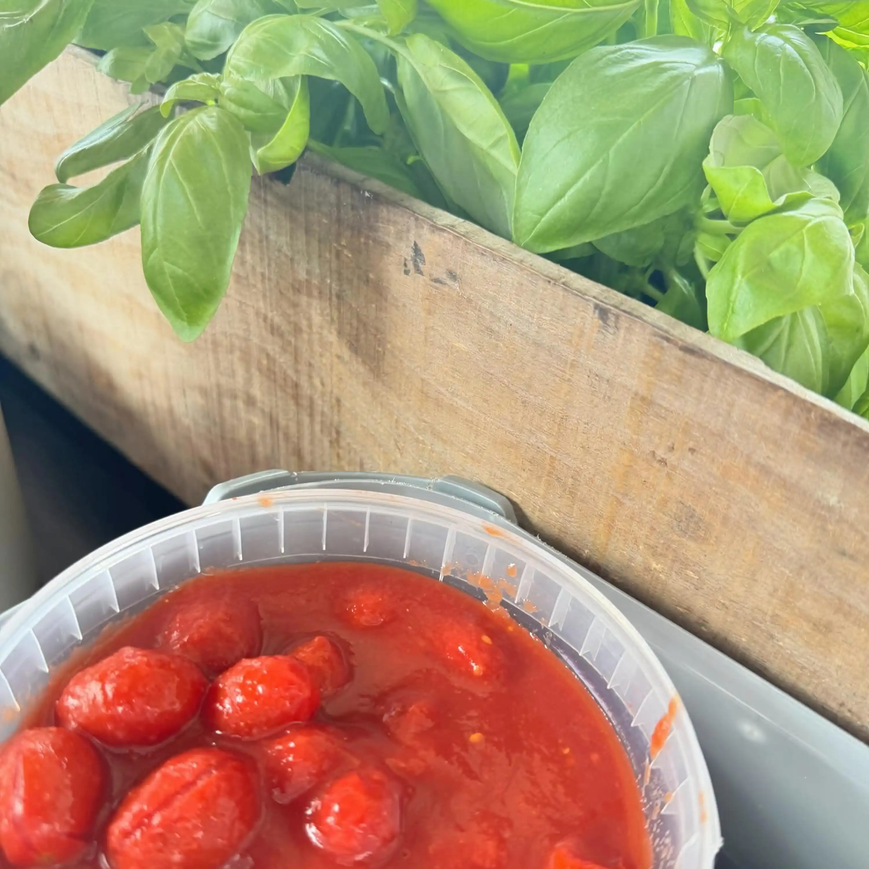 Roving Pizza Image Gallery 1