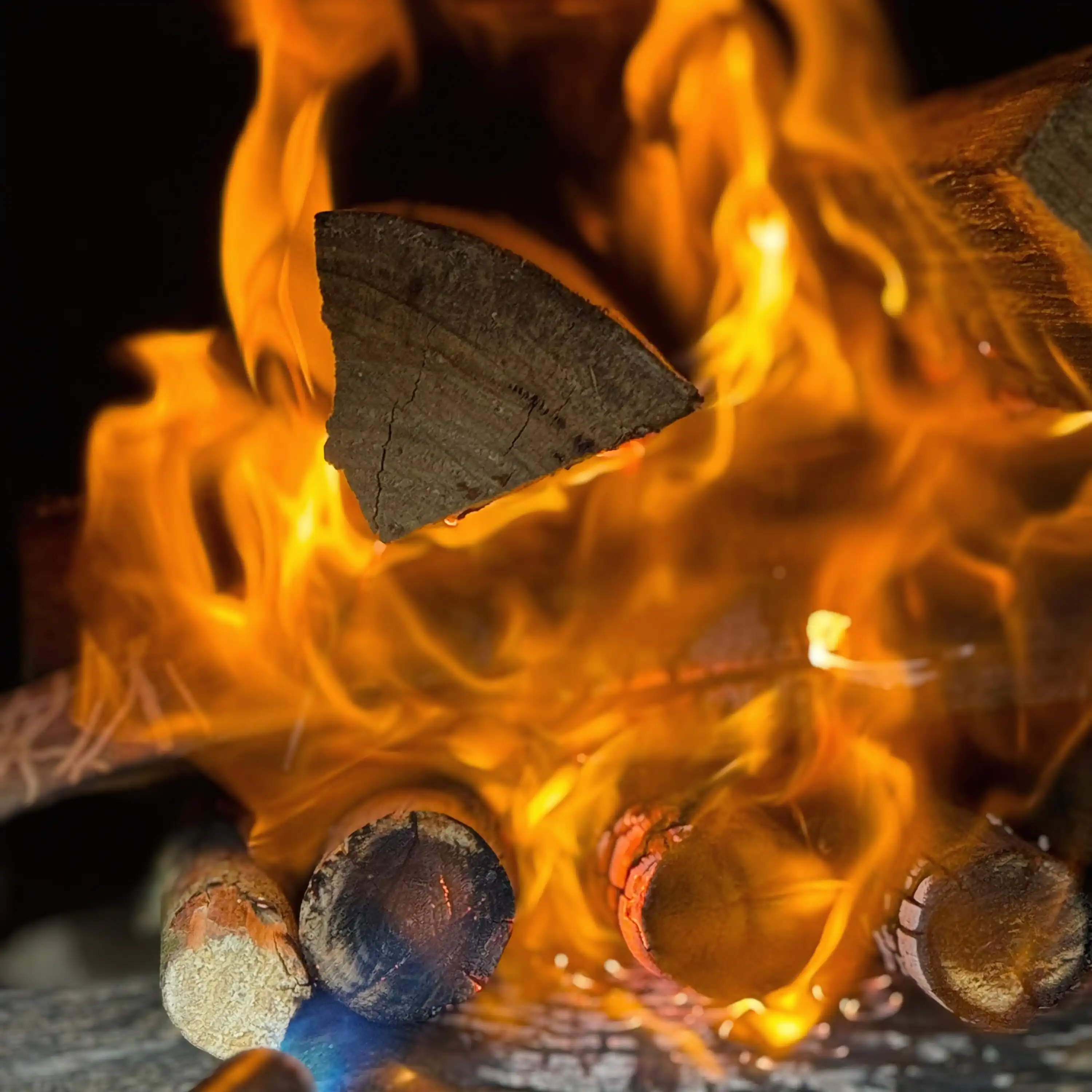 Roving Pizza Image Gallery 3