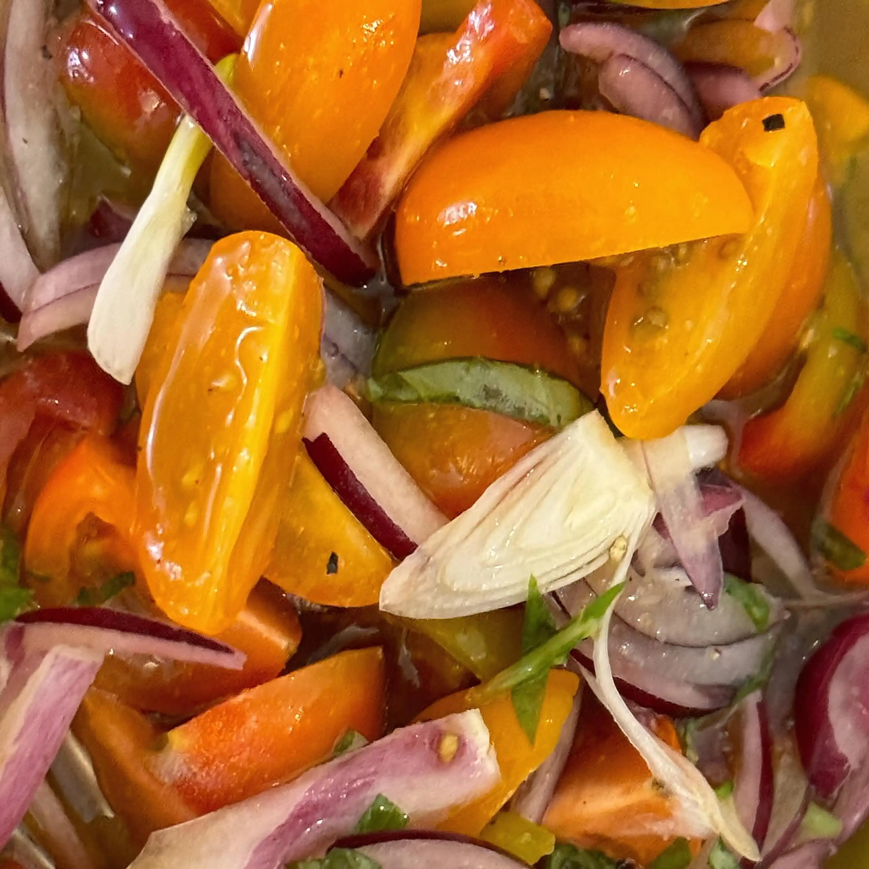 Roving Pizza Image Gallery 4