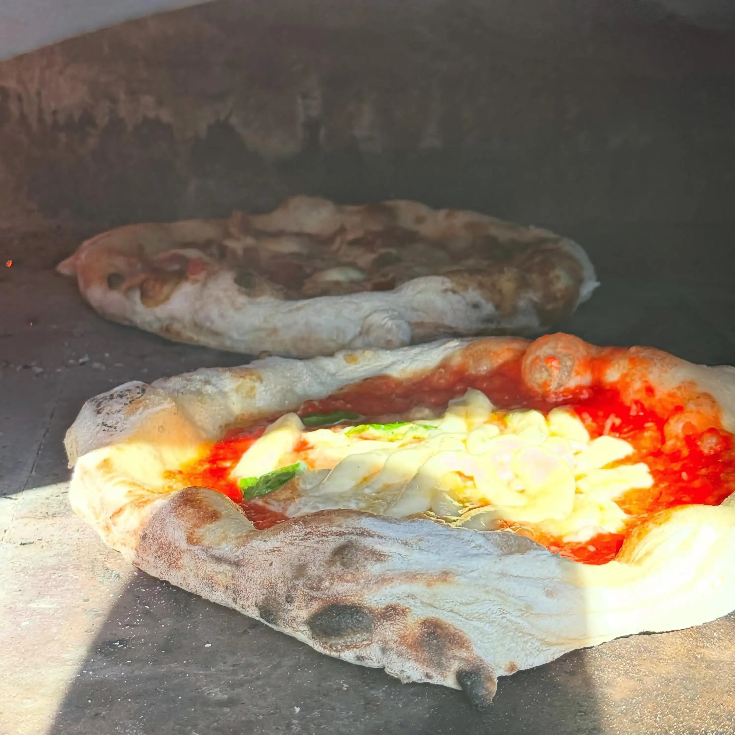 Roving Pizza Image Gallery 8