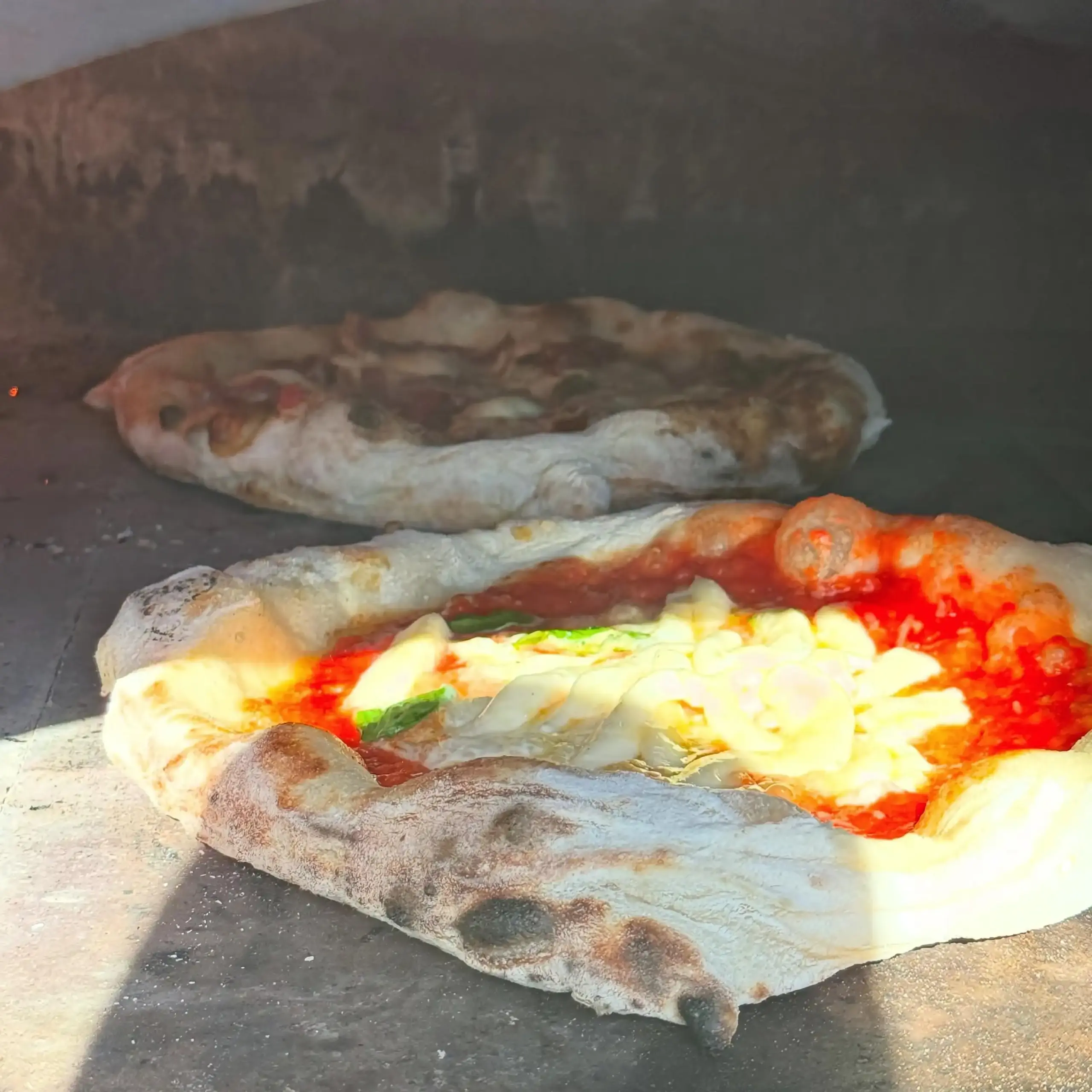 Roving Pizza Image Gallery 8